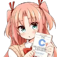 比尔盖子