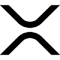 张乐 (Robert Zhang)