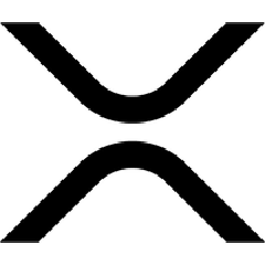 张乐 (Robert Zhang)