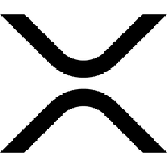 張樂 (Robert Zhang)